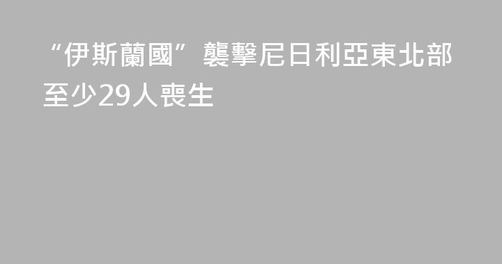 “伊斯蘭國”襲擊尼日利亞東北部 至少29人喪生