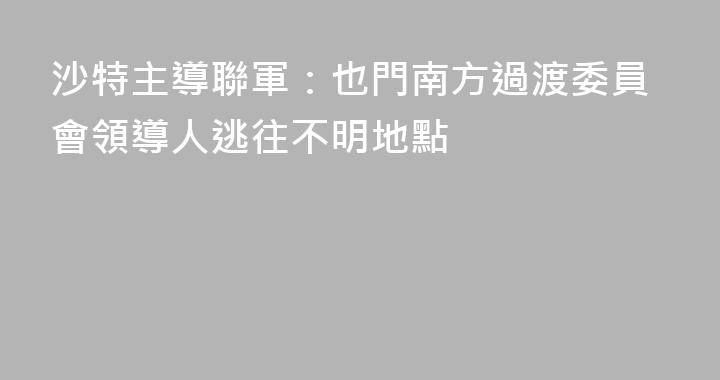 沙特主導聯軍：也門南方過渡委員會領導人逃往不明地點