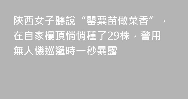 陝西女子聽說“罌粟苗做菜香”，在自家樓頂悄悄種了29株，警用無人機巡邏時一秒暴露
