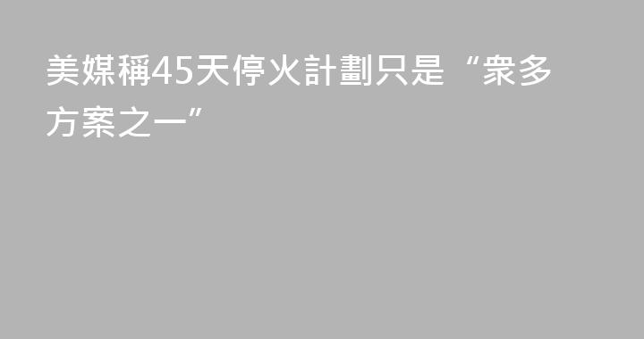 美媒稱45天停火計劃只是“衆多方案之一”