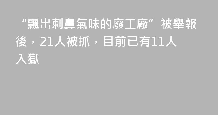 “飄出刺鼻氣味的廢工廠”被舉報後，21人被抓，目前已有11人入獄