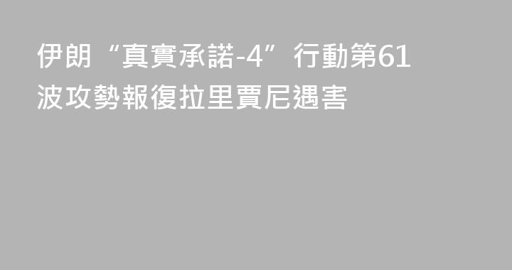 伊朗“真實承諾-4”行動第61波攻勢報復拉里賈尼遇害