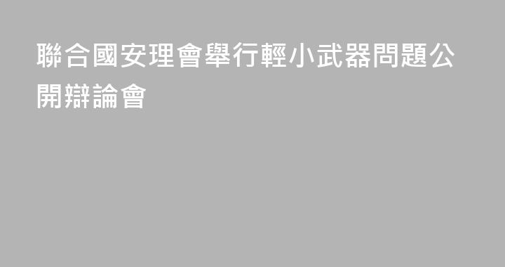 聯合國安理會舉行輕小武器問題公開辯論會