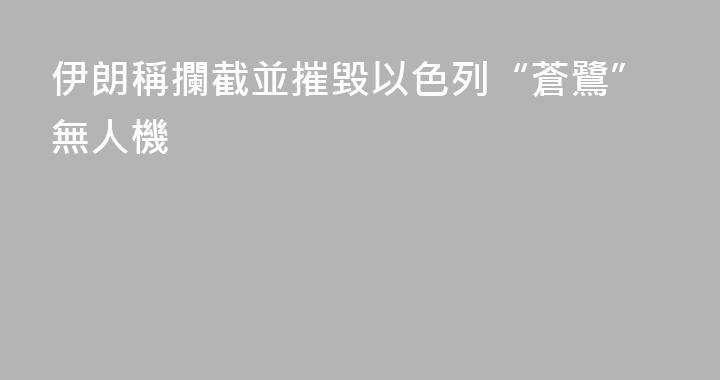 伊朗稱攔截並摧毀以色列“蒼鷺”無人機