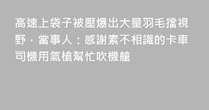 高速上袋子被壓爆出大量羽毛擋視野，當事人：感謝素不相識的卡車司機用氣槍幫忙吹機艙