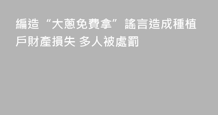 編造“大蔥免費拿”謠言造成種植戶財產損失 多人被處罰
