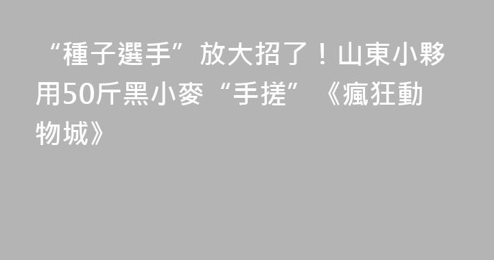 “種子選手”放大招了！山東小夥用50斤黑小麥“手搓”《瘋狂動物城》