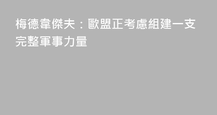 梅德韋傑夫：歐盟正考慮組建一支完整軍事力量