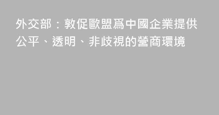 外交部：敦促歐盟爲中國企業提供公平、透明、非歧視的營商環境