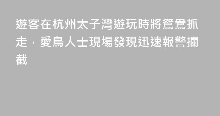 遊客在杭州太子灣遊玩時將鴛鴦抓走，愛鳥人士現場發現迅速報警攔截