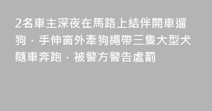 2名車主深夜在馬路上結伴開車遛狗，手伸窗外牽狗繩帶三隻大型犬隨車奔跑，被警方警告處罰