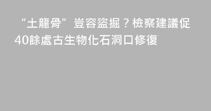“土龍骨”豈容盜掘？檢察建議促40餘處古生物化石洞口修復