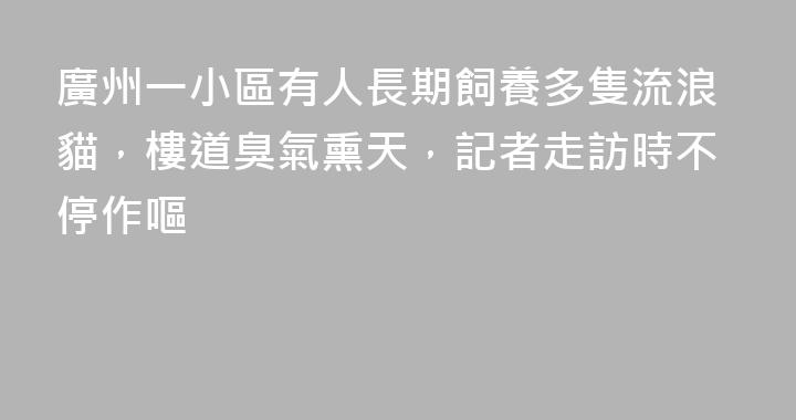 廣州一小區有人長期飼養多隻流浪貓，樓道臭氣熏天，記者走訪時不停作嘔