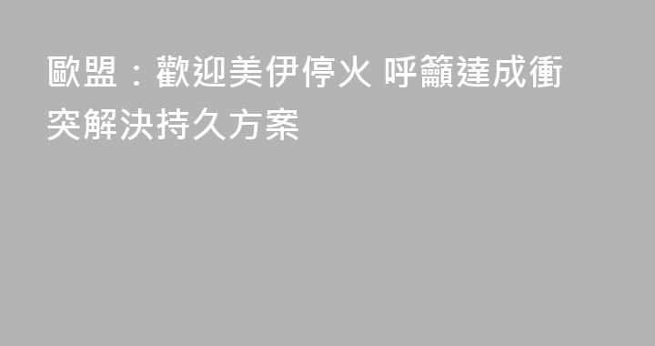 歐盟：歡迎美伊停火 呼籲達成衝突解決持久方案