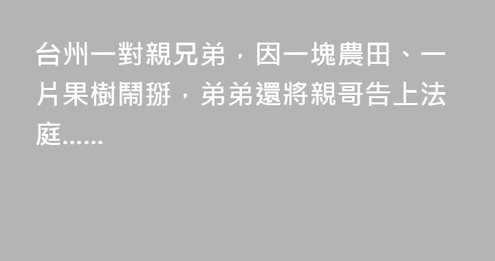 台州一對親兄弟，因一塊農田、一片果樹鬧掰，弟弟還將親哥告上法庭......