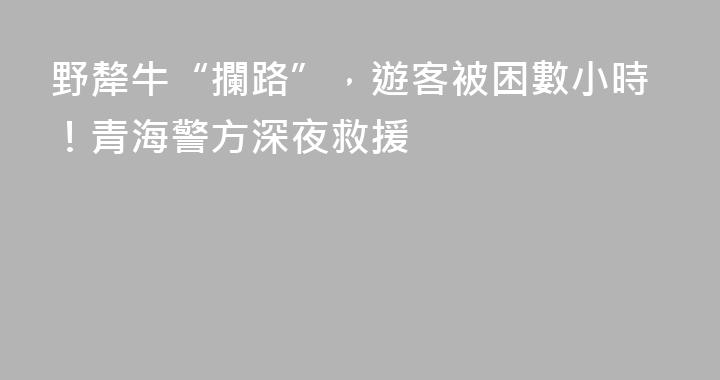野犛牛“攔路”，遊客被困數小時！青海警方深夜救援