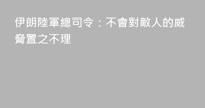 伊朗陸軍總司令：不會對敵人的威脅置之不理