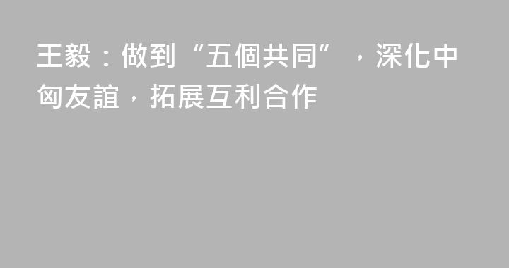 王毅：做到“五個共同”，深化中匈友誼，拓展互利合作