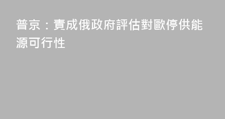 普京：責成俄政府評估對歐停供能源可行性