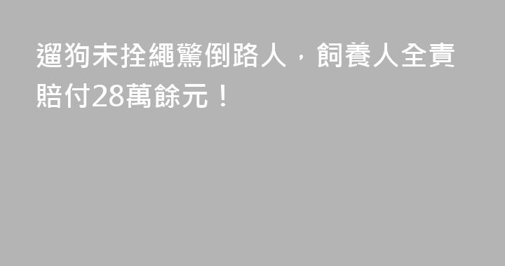 遛狗未拴繩驚倒路人，飼養人全責賠付28萬餘元！