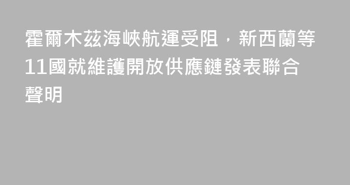 霍爾木茲海峽航運受阻，新西蘭等11國就維護開放供應鏈發表聯合聲明