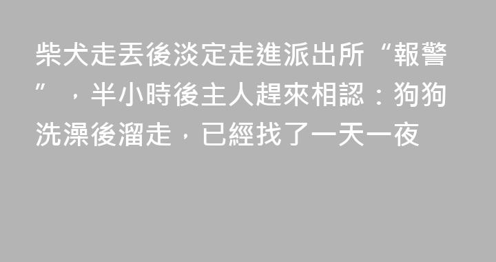 柴犬走丟後淡定走進派出所“報警”，半小時後主人趕來相認：狗狗洗澡後溜走，已經找了一天一夜