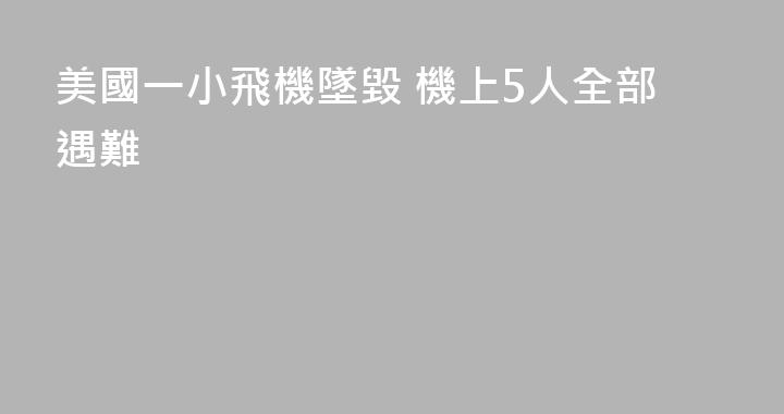 美國一小飛機墜毀 機上5人全部遇難
