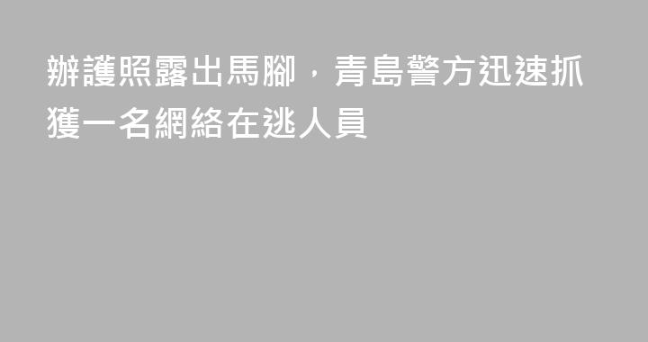 辦護照露出馬腳，青島警方迅速抓獲一名網絡在逃人員