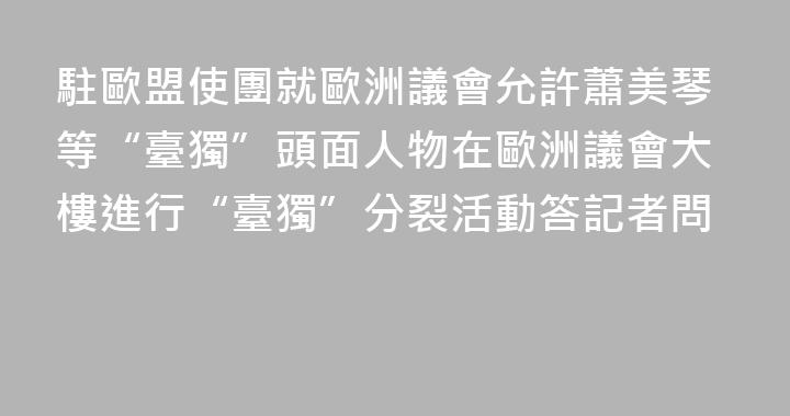 駐歐盟使團就歐洲議會允許蕭美琴等“臺獨”頭面人物在歐洲議會大樓進行“臺獨”分裂活動答記者問