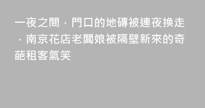 一夜之間，門口的地磚被連夜換走，南京花店老闆娘被隔壁新來的奇葩租客氣笑