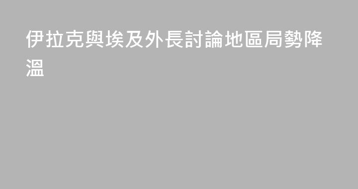 伊拉克與埃及外長討論地區局勢降溫