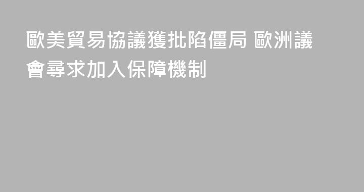 歐美貿易協議獲批陷僵局 歐洲議會尋求加入保障機制