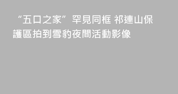 “五口之家”罕見同框 祁連山保護區拍到雪豹夜間活動影像