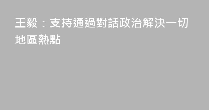 王毅：支持通過對話政治解決一切地區熱點