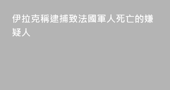 伊拉克稱逮捕致法國軍人死亡的嫌疑人