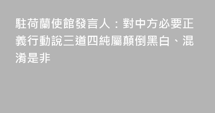 駐荷蘭使館發言人：對中方必要正義行動說三道四純屬顛倒黑白、混淆是非