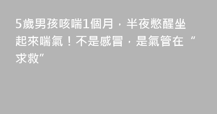 5歲男孩咳喘1個月，半夜憋醒坐起來喘氣！不是感冒，是氣管在“求救”