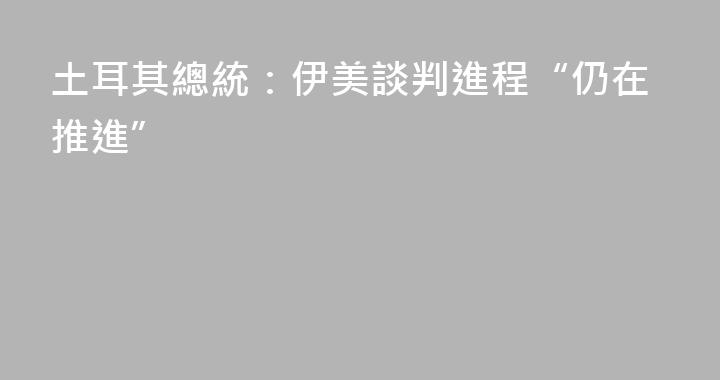 土耳其總統：伊美談判進程“仍在推進”