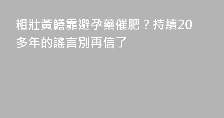 粗壯黃鱔靠避孕藥催肥？持續20多年的謠言別再信了