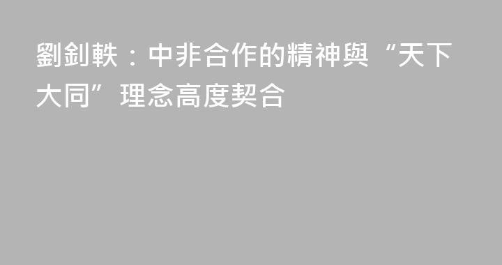 劉釗軼：中非合作的精神與“天下大同”理念高度契合
