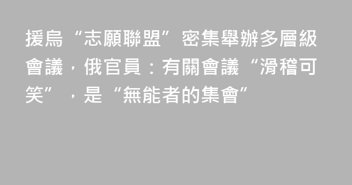 援烏“志願聯盟”密集舉辦多層級會議，俄官員：有關會議“滑稽可笑”，是“無能者的集會”