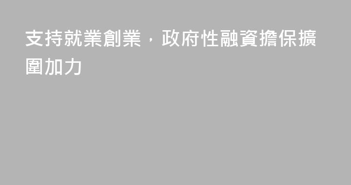 支持就業創業，政府性融資擔保擴圍加力