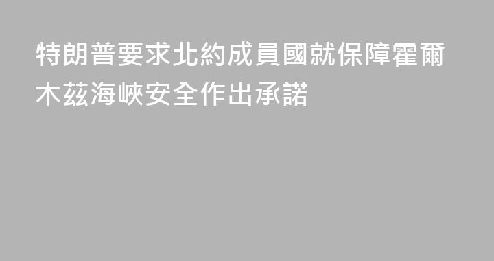 特朗普要求北約成員國就保障霍爾木茲海峽安全作出承諾