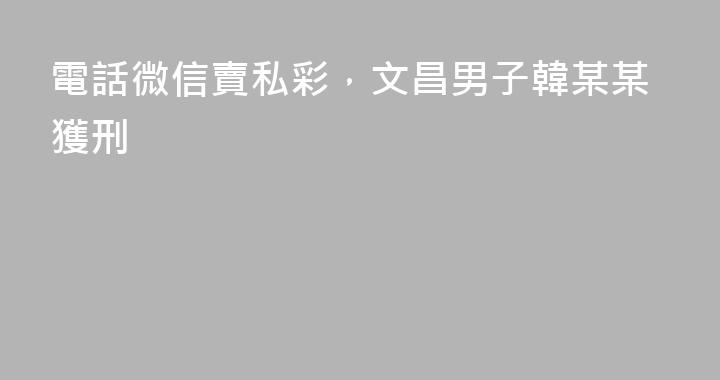 電話微信賣私彩，文昌男子韓某某獲刑