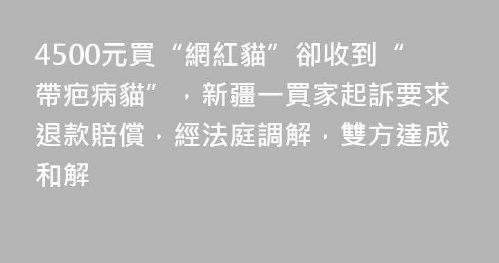4500元買“網紅貓”卻收到“帶疤病貓”，新疆一買家起訴要求退款賠償，經法庭調解，雙方達成和解
