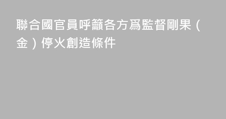 聯合國官員呼籲各方爲監督剛果（金）停火創造條件