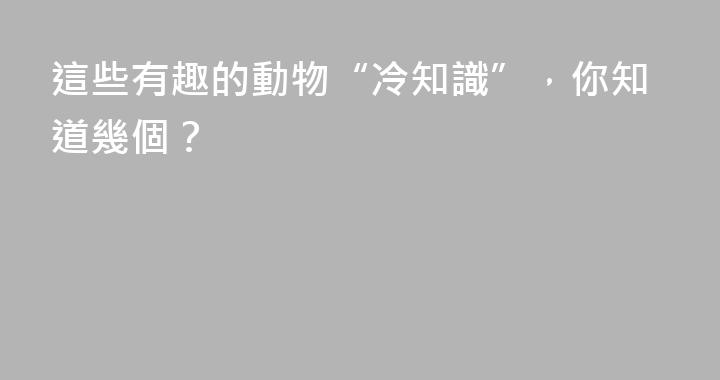這些有趣的動物“冷知識”，你知道幾個？