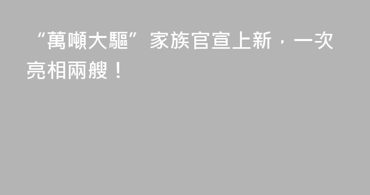 “萬噸大驅”家族官宣上新，一次亮相兩艘！