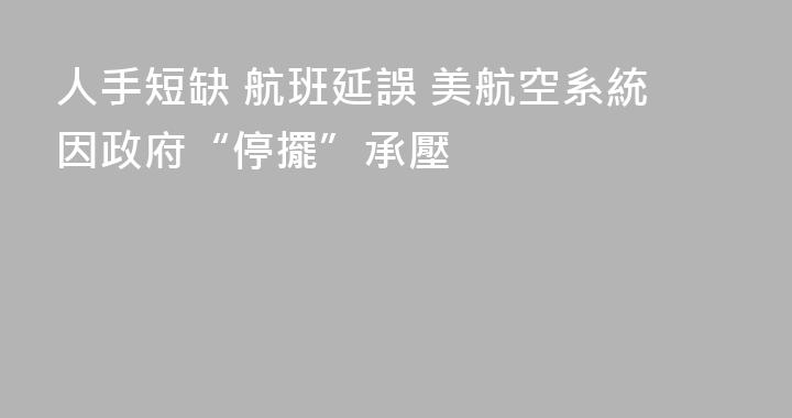 人手短缺 航班延誤 美航空系統因政府“停擺”承壓