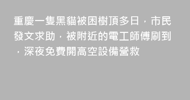 重慶一隻黑貓被困樹頂多日，市民發文求助，被附近的電工師傅刷到，深夜免費開高空設備營救